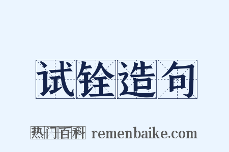 试铨造句是什么意思的图片
